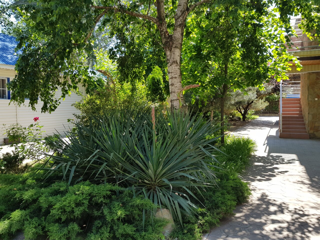 Гостиница Астон Анапа-150