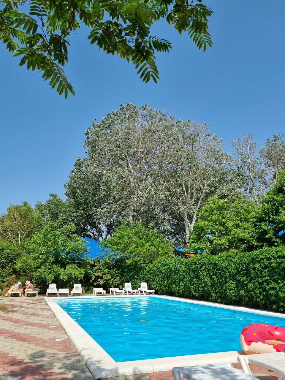 Гостиница Астон Анапа-126