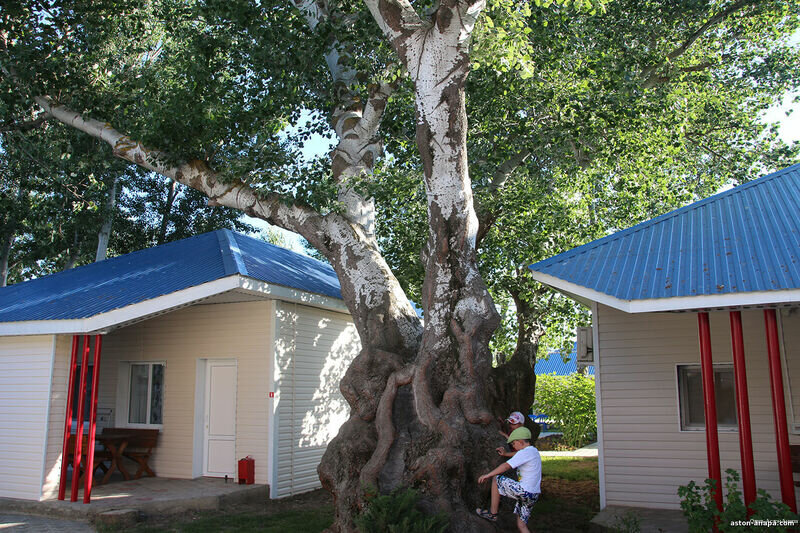 Гостиница Астон Анапа-138