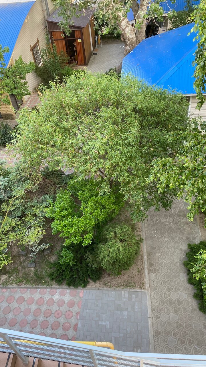 Гостиница Астон Анапа-220