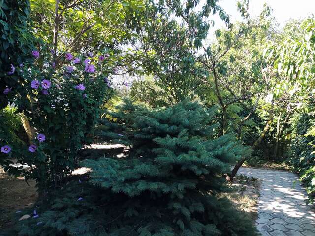 Гостиница Астон Анапа-190