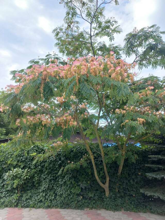 Гостиница Астон Анапа-212